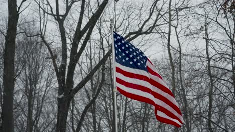 Looking-up-at-the-flag-blowing-in-the-winter-wind