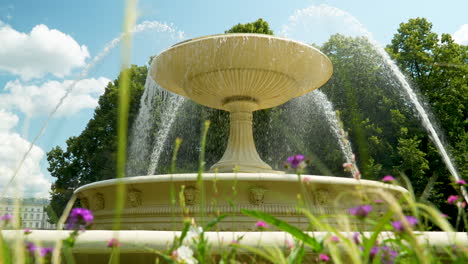 Ein-Wasserstrahl-Aus-Dem-Großen-Brunnen-Im-Sächsischen-Garten,-Umrahmt-Von-Leuchtend-Violetten-Blumen