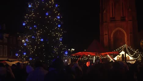 Weihnachtsbaum-Mit-Dekorativen-Lichtern-Auf-Einem-Niederländischen-Weihnachtsmarkt