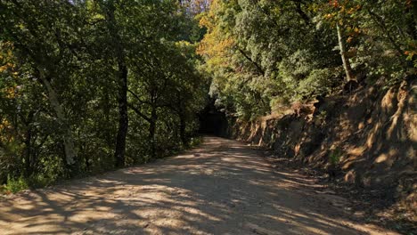Drone-Fly-Low-Through-Ocher-Mountain-Path-Wild-Trees-in-Arbucias,-Girona,-Spain,-A-Tunnel-between-Green-Foliage