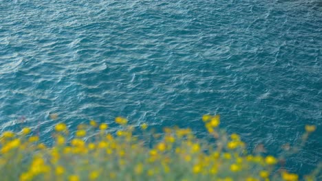 Background-blue-sea-water-ocean-with-blurred-yellow-colorful-flowers,-static