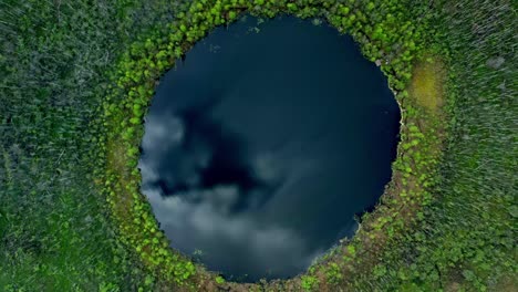 Aerial-view-of-a-lake-surrounded-by-forest
