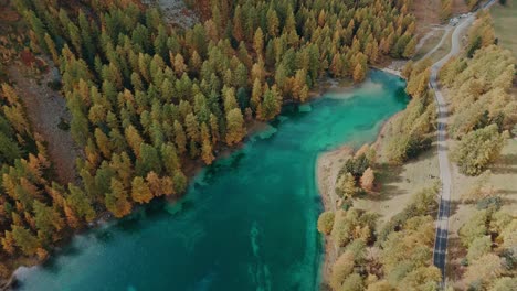 Schwenk-Von-Den-Bunten-Blättern-Der-Herbstbäume-Zum-Kristallklaren,-Blauen-Bergsee-Palpuogna-In-Den-Schweizer-Bergen-Am-Albulapass