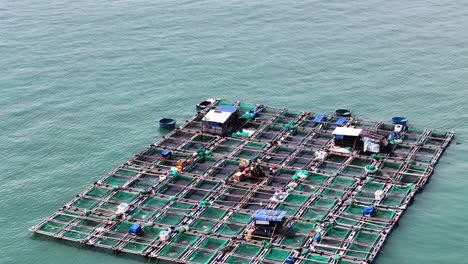 Vietnam-Investiert-In-Meeresaquakulturfarmen-Zur-Zucht,-Aufzucht-Und-Ernte-Von-Fisch-Und-Anderen-Meeresfrüchten