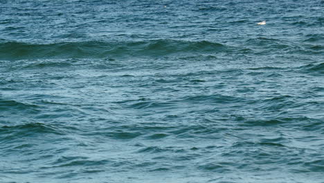 Eine-Einsame-Möwe-Gleitet-über-Dem-Rhythmischen-Tanz-Der-Tiefblauen-Meereswellen