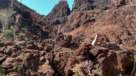Wadi-Dirhor-Canyon-On-The-Island-Of-Socotra,-Yemen---Drone-Shot