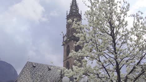 Captivating-close-up:-Bolzano-Bozen-cathedral-bell-tower-showcased-with-a-blooming-cherry-tree