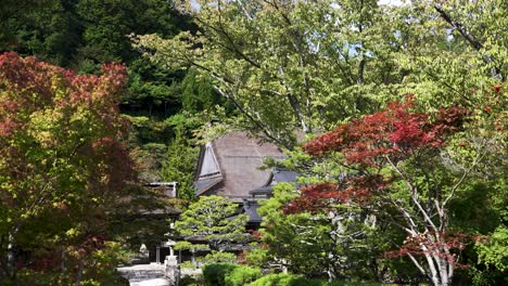 Beautiful-Green-Red-Autumnal-Trees-In-Koyasan-On-Sunny-October-Day