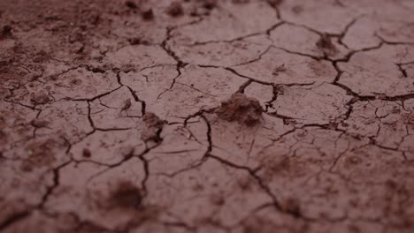 Cracked-Dry-Muddy-Ground-In-Africa