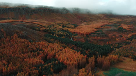 Herbstlaub-In-Akureyri,-Island-–-Atemberaubende-Drohnenansichten-Von-Leuchtend-Grünen,-Orangefarbenen-Und-Gelben-Bäumen,-Kaskadierenden-Wasserfällen-Und-Ruhigen-Bächen