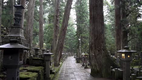 Camino-Forestal-Vacío-Bordeado-En-El-Cementerio-De-Okunoin-Mientras-Llueve