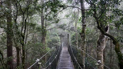 Caminando-Por-Un-Puente-Colgante-Que-Rebota-A-Través-De-Una-Pista-De-Niebla-En-La-Selva-Tropical-En-Una-Mañana-Lluviosa