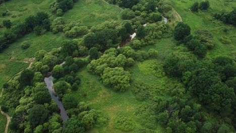 Exemplary-meandering-river,-healthy-landscape,-biodiversity.-Drone