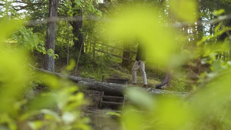Man-crossing-a-creek-on-tree-trunk-bridge-in-the-woods---right-to-left