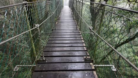 Hiking-along-a-moving-suspension-bridge-through-a-rainforest-setting-on-a-raining-fog-covered-morning
