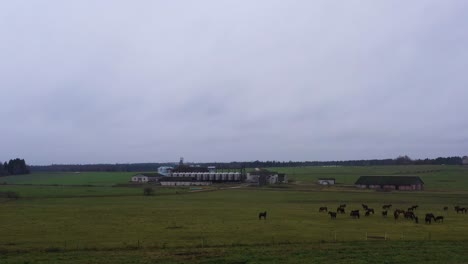 Horses-grazing-on-rural-farmland-meadow,-farmhouse-ranch-with-silo-storage-in-the-distance