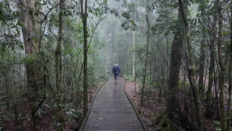 Female-hiker-walking-along-a-timber-boardwalk-fading-out-of-view-into-a-misty-fog-covered-rainforest