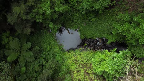 Pozo-Para-Nadar-Formado-Naturalmente-Y-Cascada-Escondida-En-Lo-Profundo-De-Una-Selva-Tropical