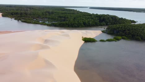 drone-shot-of-a-sandbank-next-to-the-jungle-in-a-Brazilian-delta