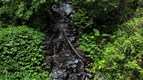 Ascending-up-a-cascading-waterfall-surrounded-by-lush-tropical-rainforest-plants