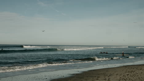 Surfers-head-out-to-catch-some-waves-at-a-beach-in-Cardiff,-California