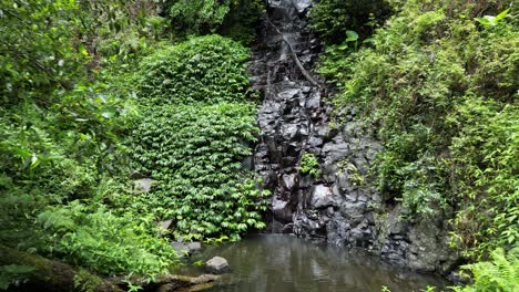 Female-hiker-discovers-a-hidden-cascading-waterfall-and-waterhole-along-a-secret-rainforest-walking-track
