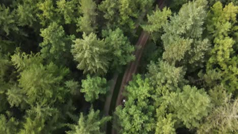 A-top-view-drone-shot-of-an-American-Second-World-War-Halftrack-driving-through-the-forests-near-the-Ginkel-Heath