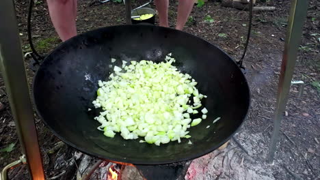 Outdoor-campfire-cooking-as-veggies-sizzle-in-hanging-pot-over-firewood