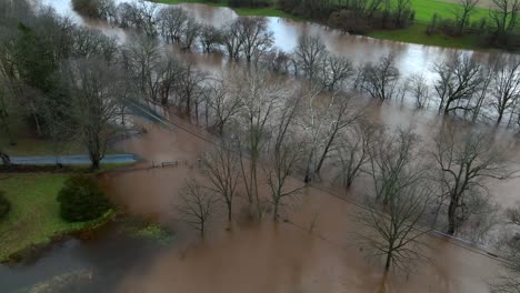 Aerial-top-down-shot-of-flooding-river-with-bare-trees-in-winter-after-large-rain-in-American-suburb