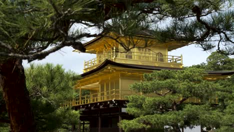 Kinkaku-ji-Goldener-Pavillon,-Betrachtet-Durch-Japanische-Kiefernzweige