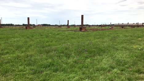Chimneys-are-the-only-thing-that-remains-in-this-field-from-the-barracks-at-Auschwitz-II-Birkenau