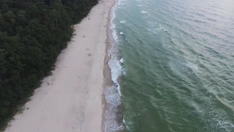 The-drone-stands-in-the-air-and-shows-the-unrecognizable-persons-who-take-a-walk-along-the-Polish-baltic-sea-beach,-between-the-romantic-waves-and-the-interesting-forest