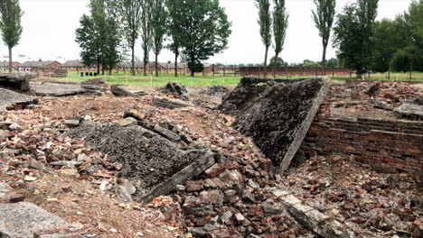 Walking-near-the-rubble-of-the-destroyed-crematorium-at-Auschwitz-II-Birkenau
