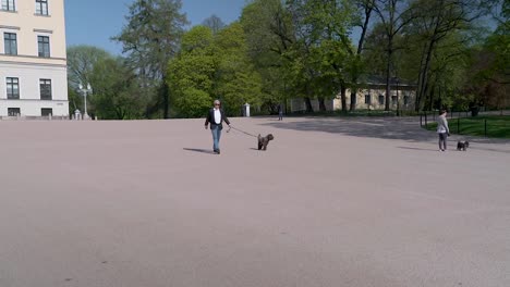 Gimbal-shot-of-people-walking-their-dogs-around-the-park-at-the-Royal-Palace-of-Oslo,-Norway