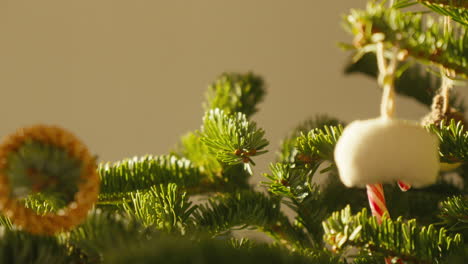 Close-up-of-pine-needles-with-soft-focused-festive-background