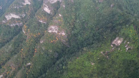 Drone-view-in-Guatemala-flying-over-green-forest-on-a-mountain-top-view-and-panning-up-to-show-a-three-peak-mountain-on-a-cloudy-day-in-Atitlan