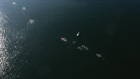 Drohnen-Luftaufnahmen-Von-Freiwasserschwimmern,-Die-Im-Rutland-Stausee-Unter-Der-Aufsicht-Von-Rettungsschwimmern-Auf-Kajaks-Trainieren