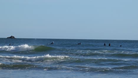 Surfer-In-Neoprenanzügen-Reiten-über-Die-Wellen,-Vorbei-An-Der-Pause,-Auf-Der-Suche-Nach-Einer-Welle-Zum-Reiten