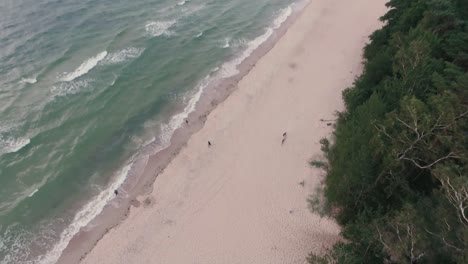 The-camera-of-the-drone-moves-slowly-upwards-and-shows-unrecognizable-persons,-taking-a-walk-on-the-beach-of-the-Polish-Baltic-Sea