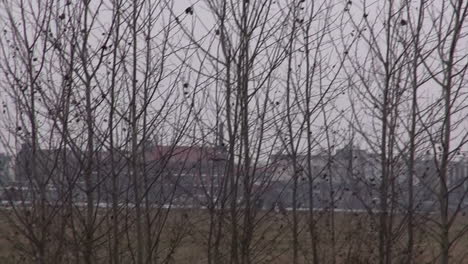 Tracking-the-flight-of-a-crow-in-Tempelhof-Airport-Berlin-Neukoelln-Germany-30-fps-HD-10-secs
