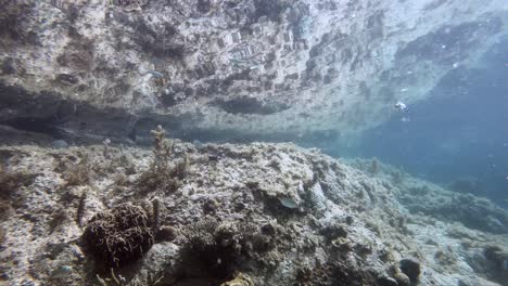 Erstaunlicher-Unterwasser-Zeitraffer-Eines-Lebhaften-Felsenbeckens-Mit-Spiegelung-Oben