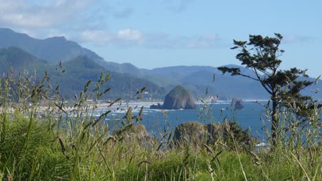 Views-from-Ecola-State-Park-looking-at-Cannon-Beach-through-the-tall-grass