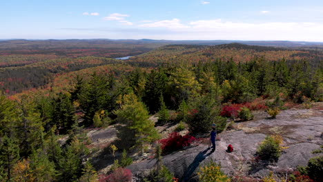 AERIAL:-Rotating-around-young-couple-looking-out-over-forest-of-mult-colored-trees-during-the-fall