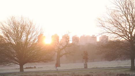 Hombre-Joven-Y-Activo-Corriendo-En-Richmond-Park-Con-El-Sol-Brillando-Sobre-Los-árboles-Calvos-Londres,-Inglaterra,-Reino-Unido