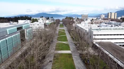 Aerial-shot-of-UBC's-famous-walkway-on-a-blue-sky-sunny-day