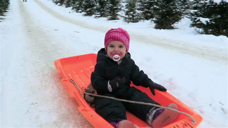 Young-Toddler-Girl-in-a-Pink-Hat-Riding-an-Orange-Sled-Down-a-Small-Snowy-Hill-on-a-Christmas-Tree-Farm