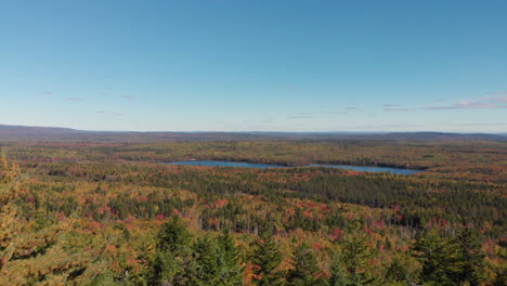 AERIAL:-Young-couple-looking-out-over-expansive-forest-on-sunny-fall-day