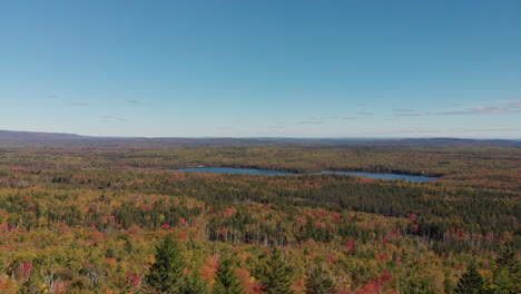 AERIAL:-Backward-moving-shot-to-reveal-young-couple-looking-out-over-beautiful-fall-forest-colors