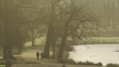 Couple-Walking-With-Their-Dog-Running-In-Richmond-Park-Early-In-The-Morning-In-London,-United-Kingdom