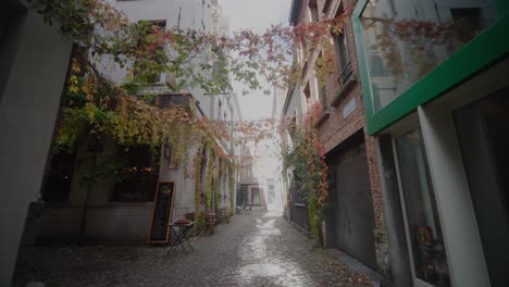 POV-Moving-Forward-Cobblestone-Backstreet-with-Cafe-and-Ivy-Garlands